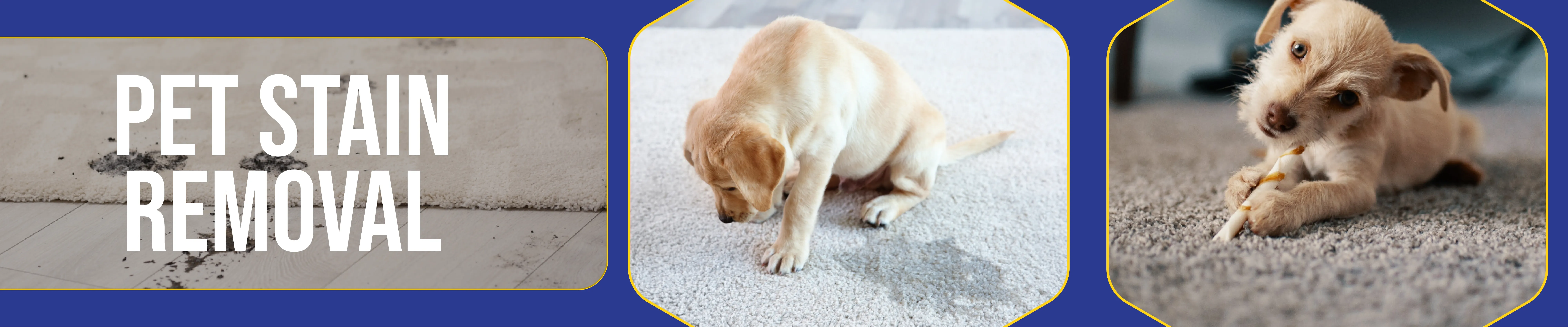 carpet cleaning in new york, carpet cleaning New York, carpet cleaners in New York, commercial carpet cleaning, commercial carpet cleaning in New York, New York rug cleaners, rug cleaning services in New York, same day carpet cleaning, same day rug cleaning, upholstery cleaning services in new york, carpet cleaning services in ny, ny carpet cleaning , rug cleaning ny, upholstery cleaning ny