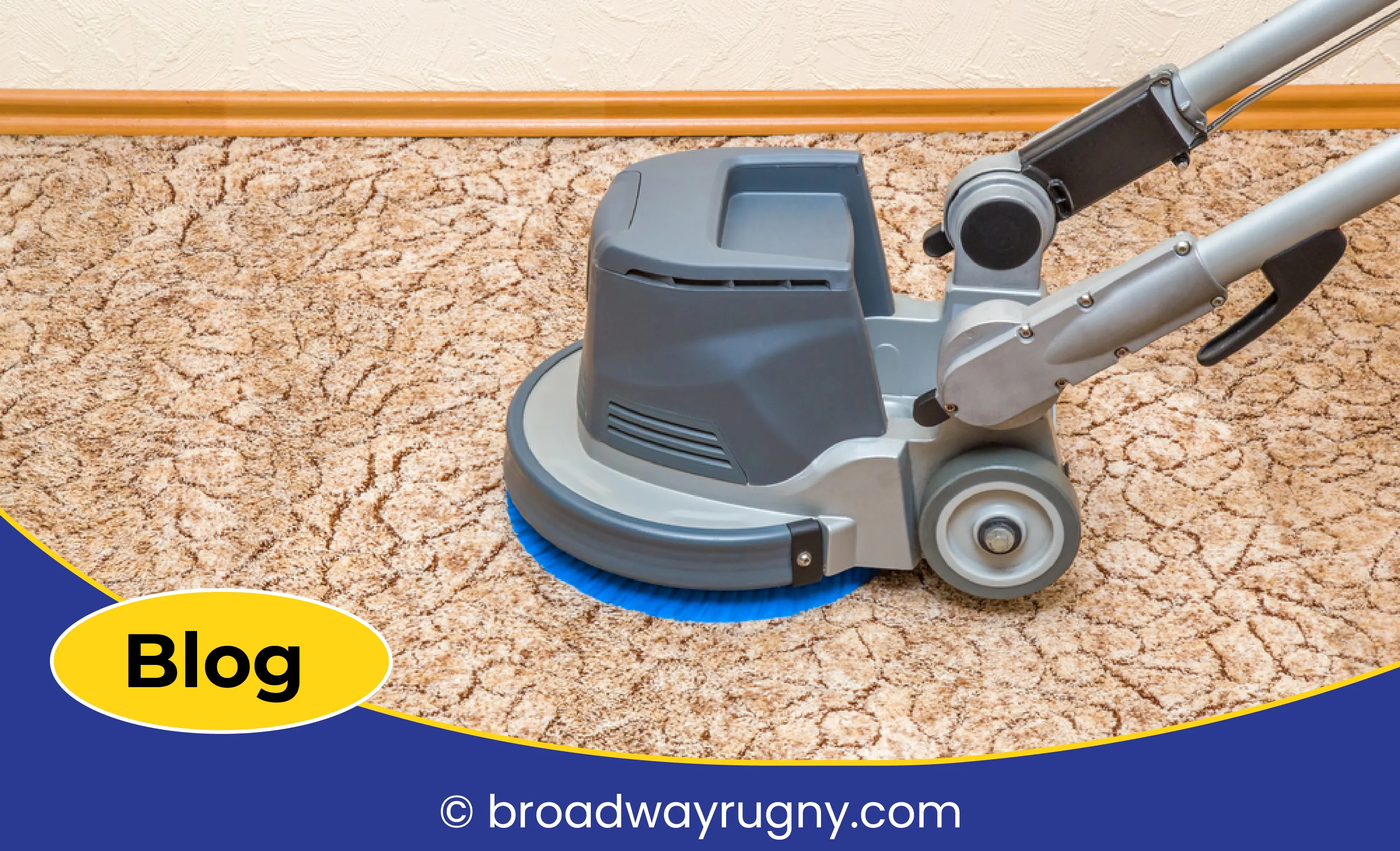 carpet cleaning in new york, carpet cleaning New York, carpet cleaners in New York, commercial carpet cleaning, commercial carpet cleaning in New York, New York rug cleaners, rug cleaning services in New York, same day carpet cleaning, same day rug cleaning, upholstery cleaning services in new york, carpet cleaning services in ny, ny carpet cleaning , rug cleaning ny, upholstery cleaning ny