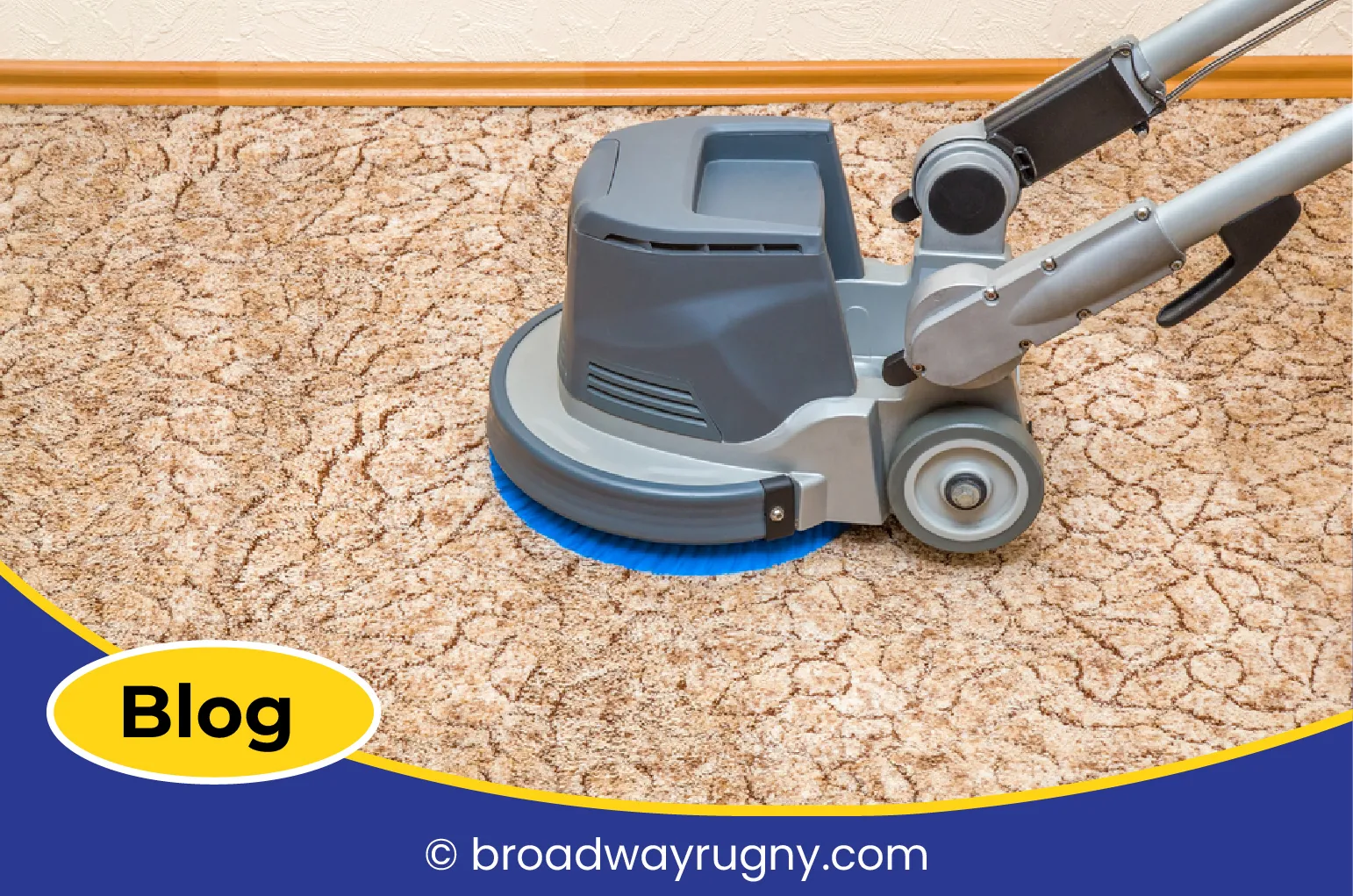 carpet cleaning in new york, carpet cleaning New York, carpet cleaners in New York, commercial carpet cleaning, commercial carpet cleaning in New York, New York rug cleaners, rug cleaning services in New York, same day carpet cleaning, same day rug cleaning, upholstery cleaning services in new york, carpet cleaning services in ny, ny carpet cleaning , rug cleaning ny, upholstery cleaning ny